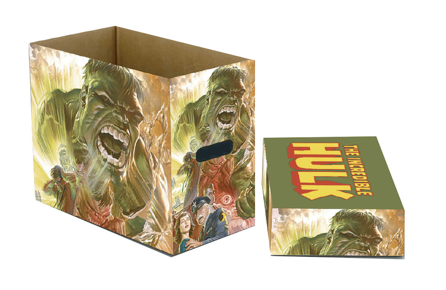 Marvel Hulk Green Goliath 5 Pk Short Comic Storage Box 