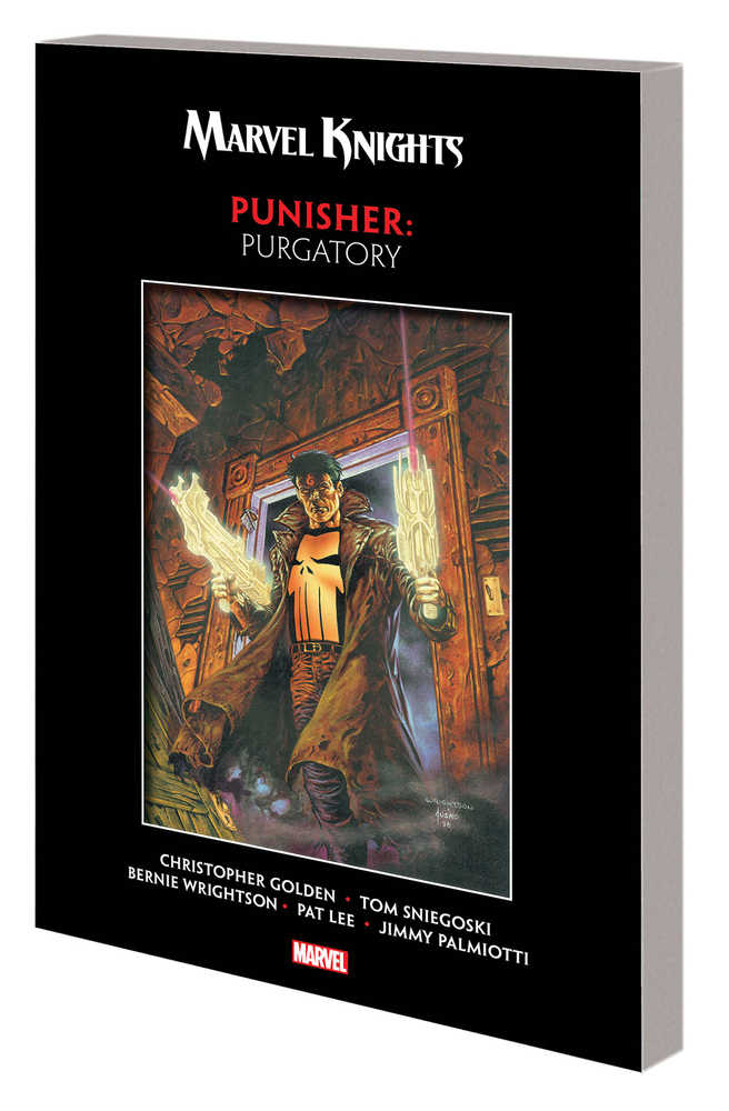 Marvel Knights Punisher TPB Purgatory