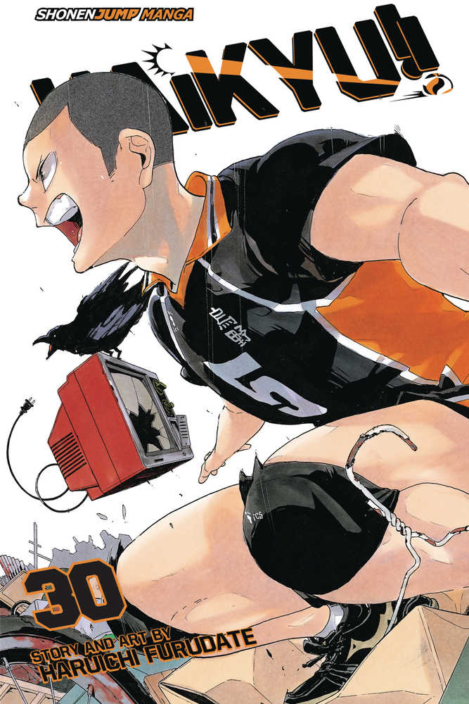 Haikyu Graphic Novel Volume 30 