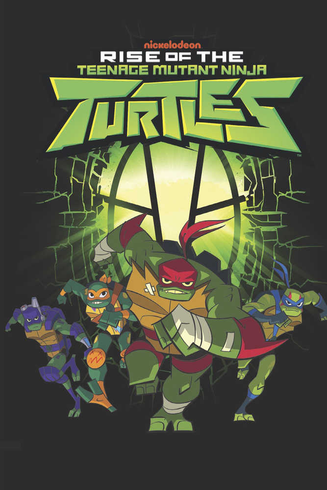 Teenage Mutant Ninja Turtles Rise Of The Teenage Mutant Ninja Turtles TPB Volume 01 