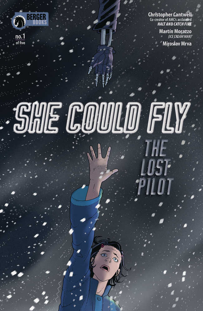 SHE COULD FLY LOST PILOT (2019)