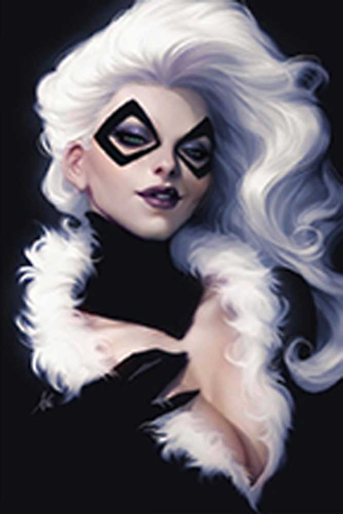Df Black Cat #1 Artgerm Variant Signed Mackay