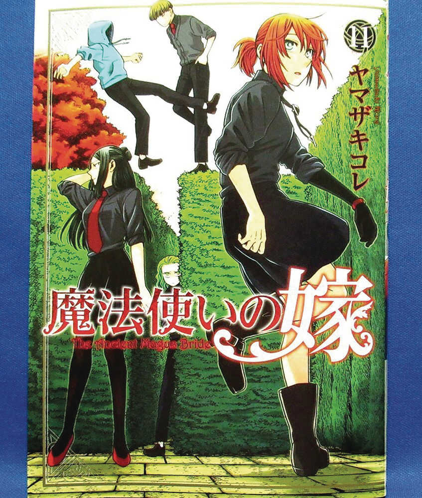 Ancient Magus Bride Graphic Novel Volume 11 