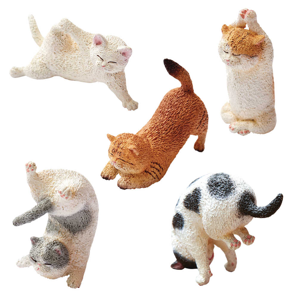 Animal Life Baby Yoga Cat 6 Pc Bmb Display 