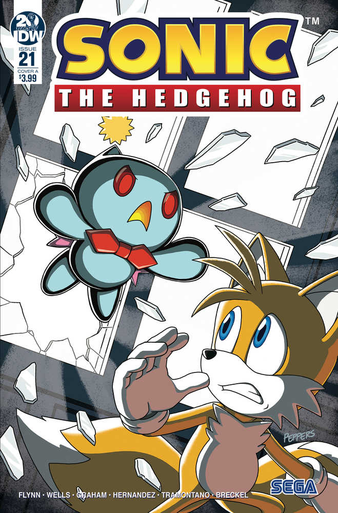 Sonic The Hedgehog #21 Cover A Hammerstrom 