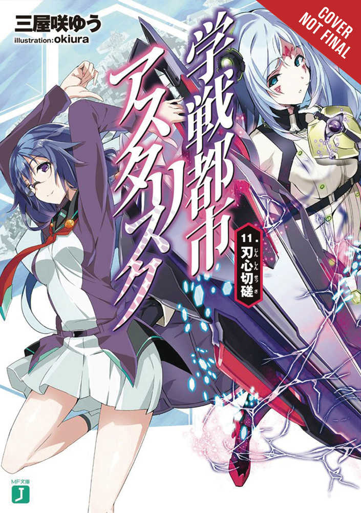 Asterisk War Light Novel Softcover Volume 11 