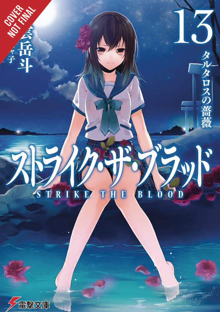 Strike The Blood Light Novel Softcover Volume 13 