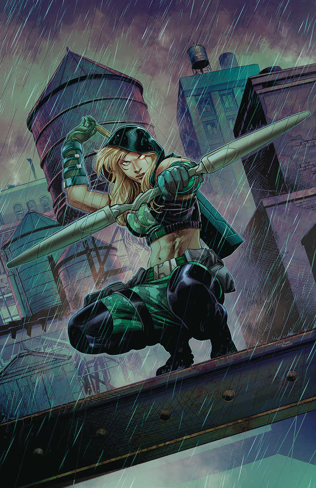 Robyn Hood Vigilante #1 Cover A Coccolo