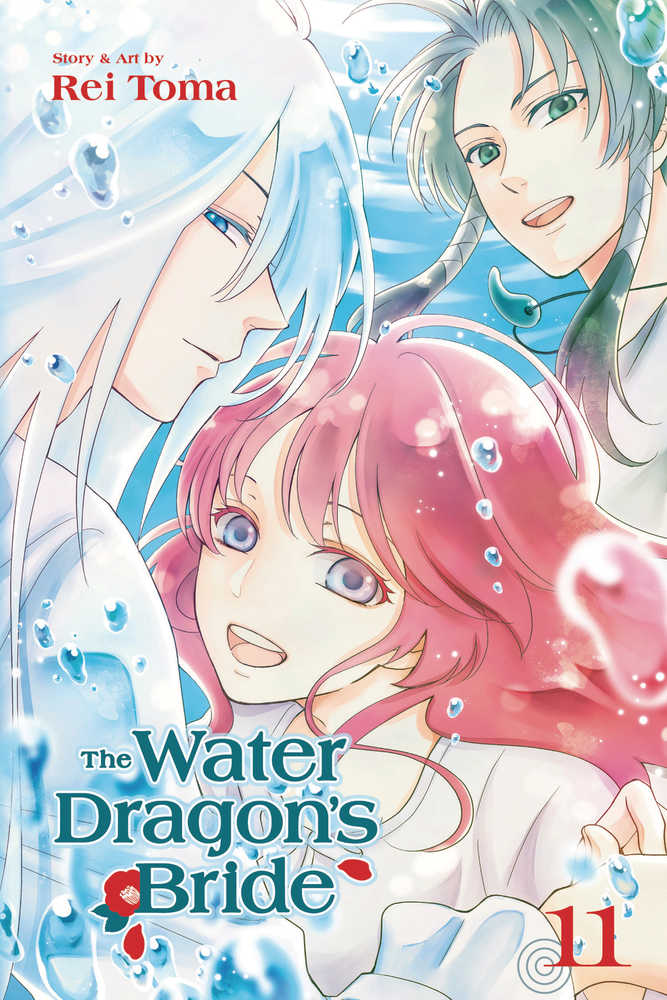 Water Dragon Bride Graphic Novel Volume 11 