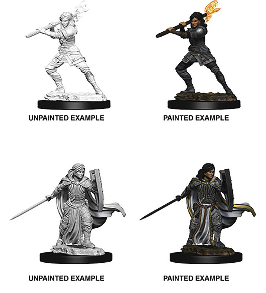Dungeons & Dragons  Nolzars Marvelous Mini Female Human Paladin 