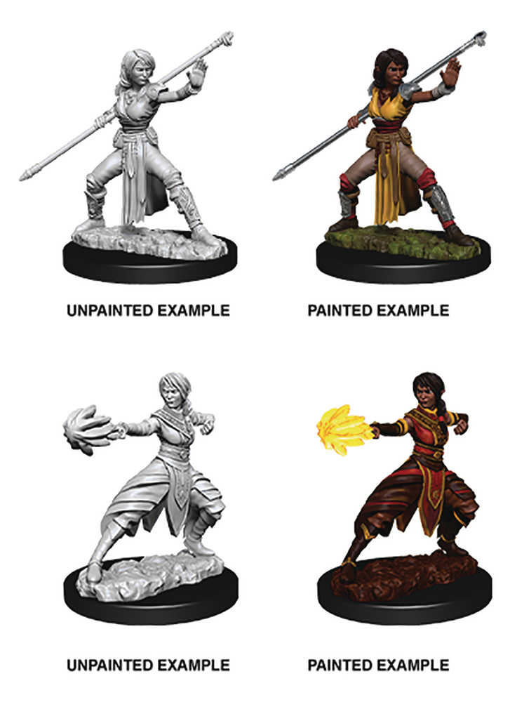 Dungeons & Dragons  Nolzars Marvelous Mini Female Half Elf Monk 