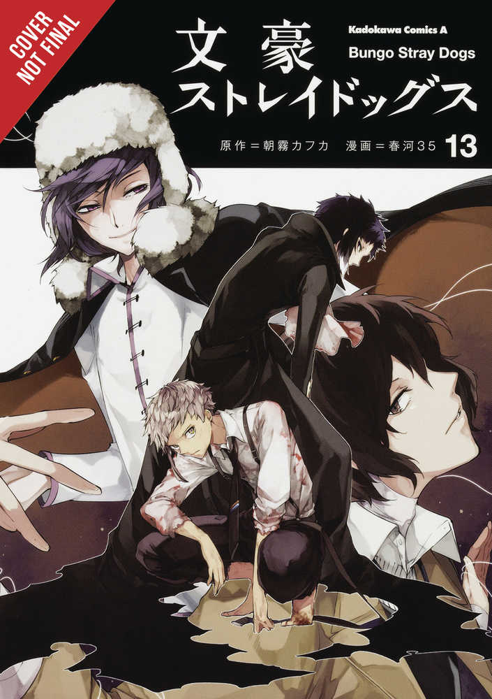 Bungo Stray Dogs Graphic Novel Volume 13 