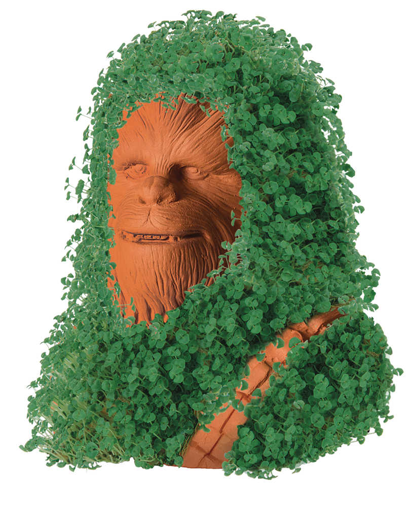 Chia Pet Star Wars Chewbacca 