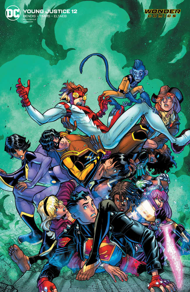 Young Justice #12 Card Stock Variant Edition