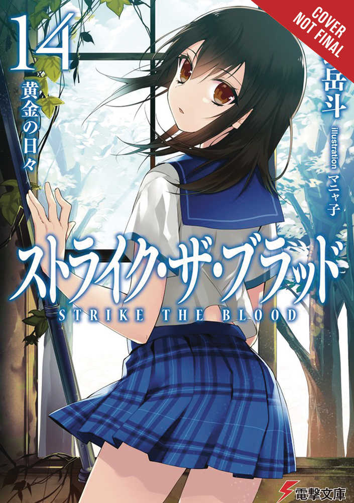 Strike The Blood Light Novel Softcover Volume 14 