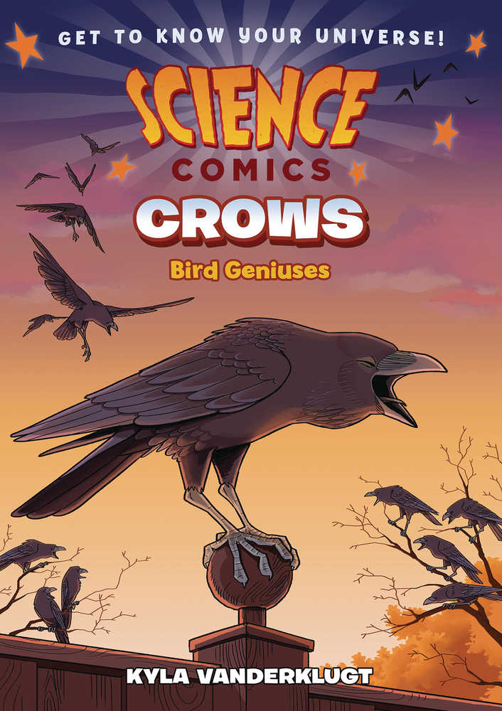 Science Comics Crows Genius Birds Hardcover Graphic Novel 