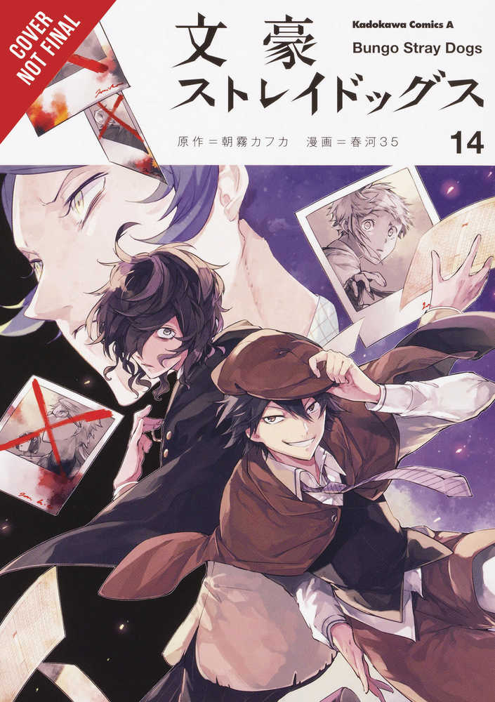 Bungo Stray Dogs Graphic Novel Volume 14 