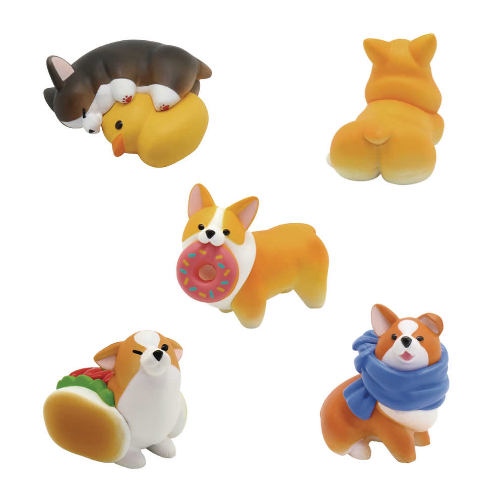 Animal Life The Daily Corgi 6 Pc Bmb Display 