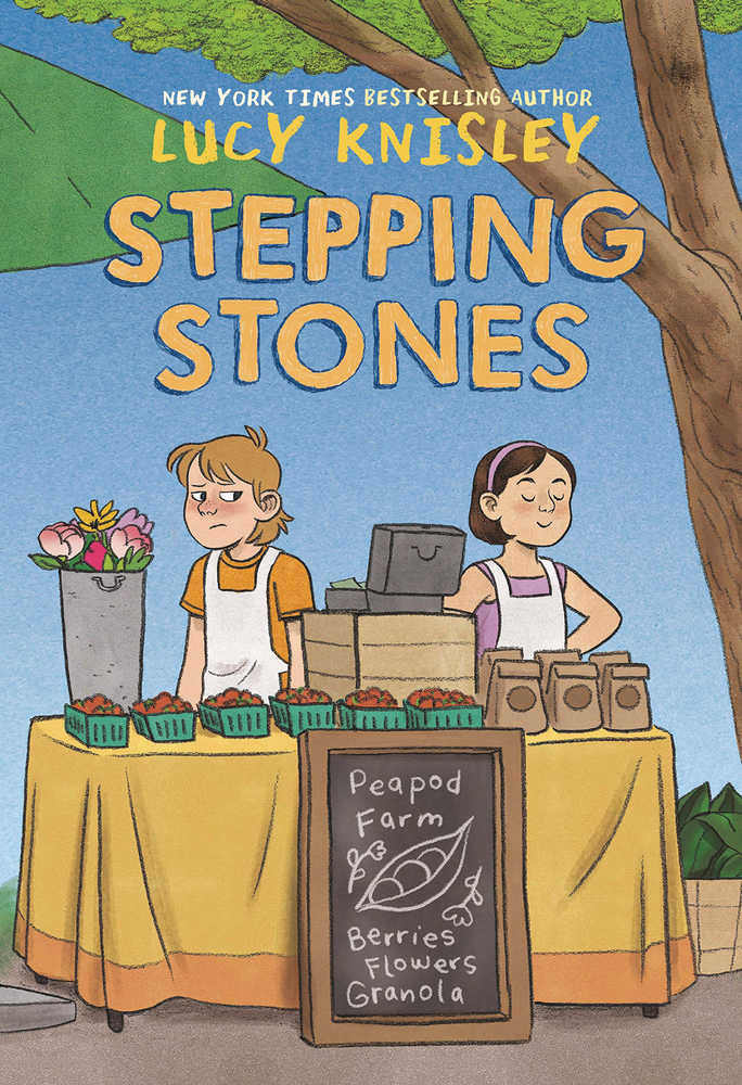 Stepping Stones Hardcover Graphic Novel 