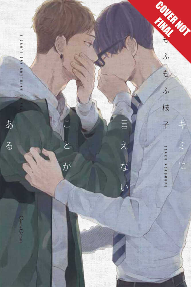 There Are Things I Cant Tell You Graphic Novel 