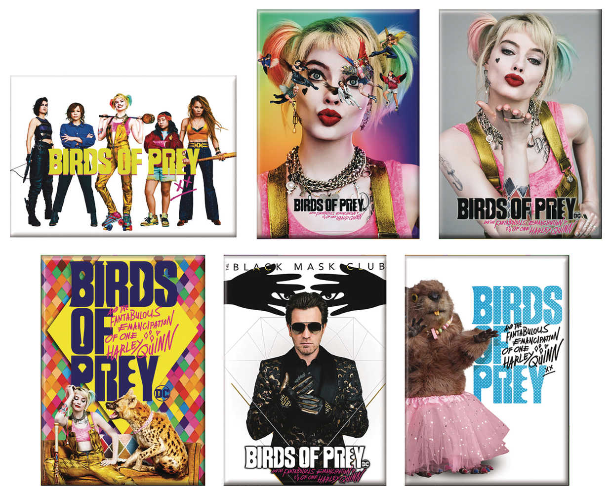 Birds Of Prey 36 Pc Magnet Assortment 