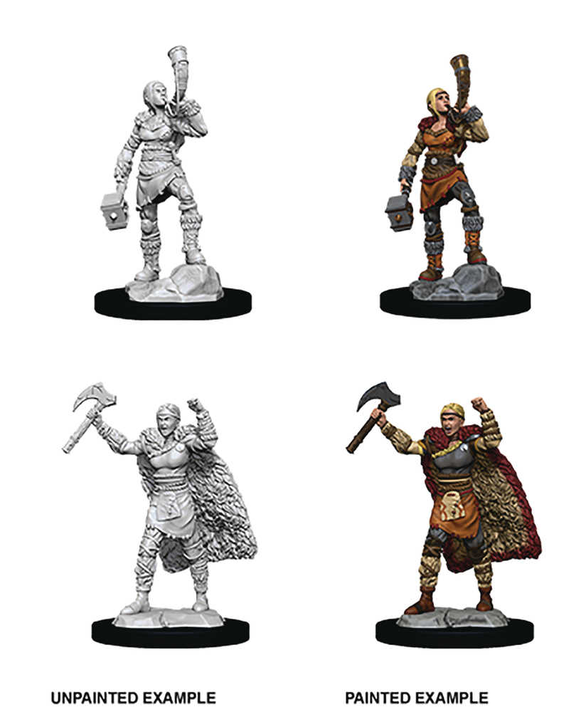 Dungeons & Dragons  Nolzars Marvelous Female Human Barbarian 