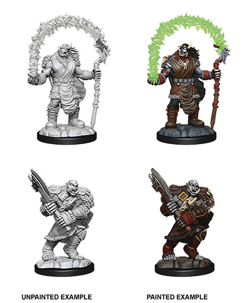 Dungeons & Dragons  Nolzars Marvelous Orc Adventures 