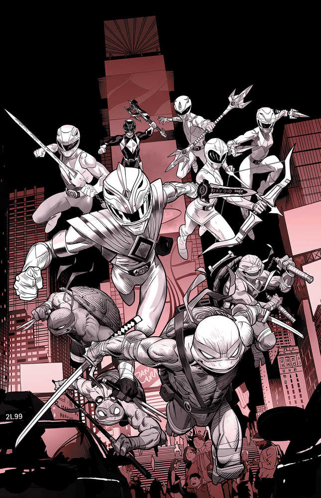 Power Rangers Teenage Mutant Ninja Turtles Black & White Hardcover 