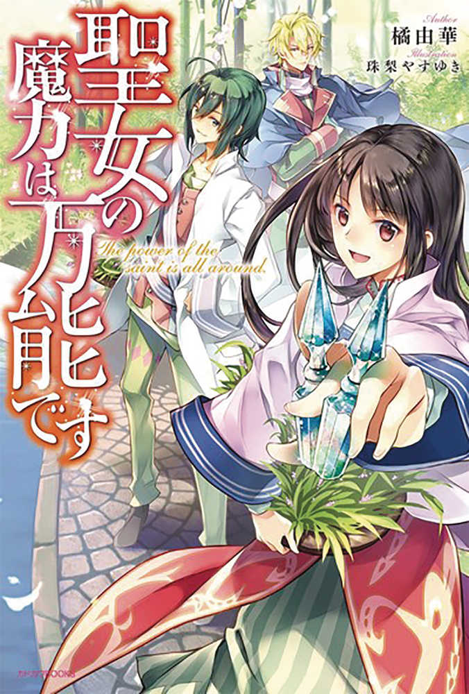 Saints Magic Power Is Omnipotent Light Novel Softcover Volume 01 