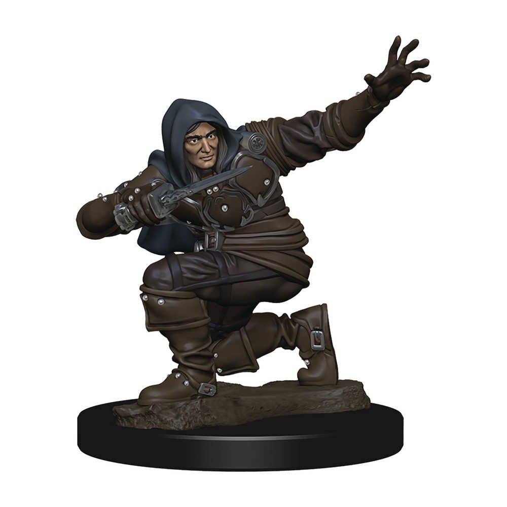 Pathfinder Battles Human Rogue Male Premium Painted Figure 