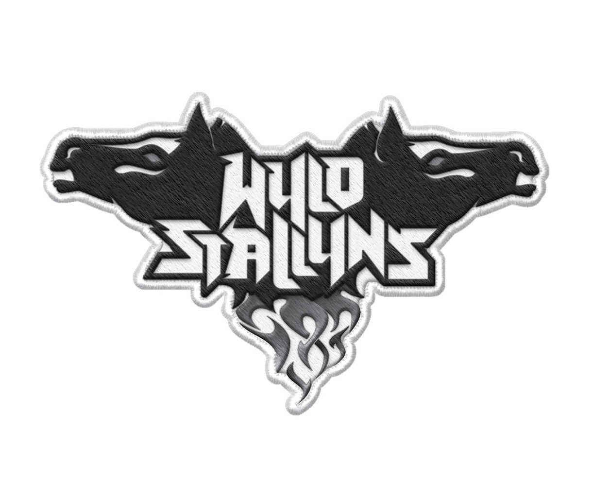 Bill & Ted Face Music Wyld Stallyns Patch