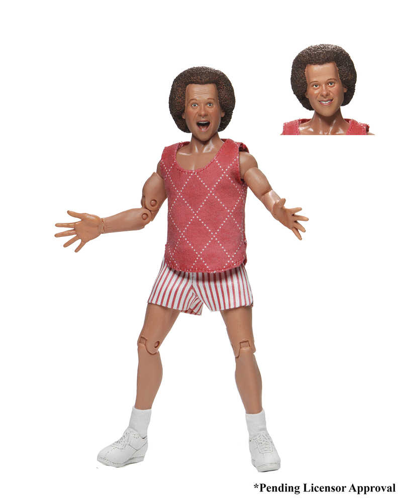 Richard Simmons 8 In Clothed Action Figure 