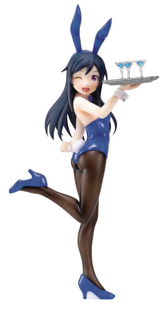 Oreimo Ayase Aragaki Resized 1/5 Pmma Figure (Mature) 