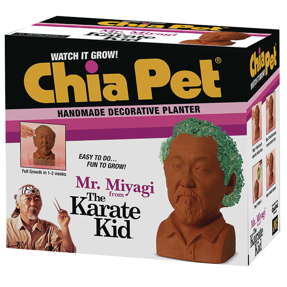 Chia Pet Karate Kid Mr Miyagi 