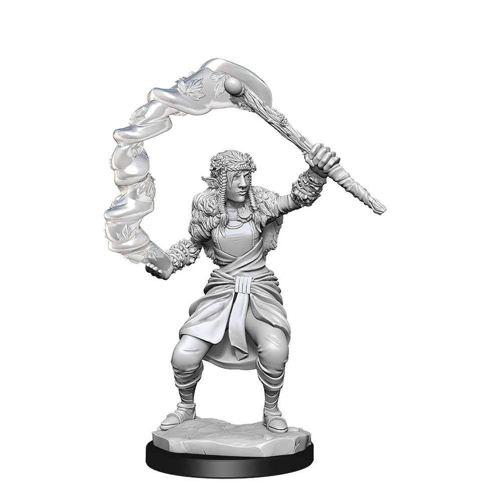 Dungeons & Dragons  Nolzars Marvelous Minis Firbolg Druid Female 