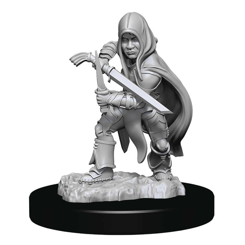 Dungeons & Dragons  Nolzars Marvelous Minis Halfling Rogue Male 