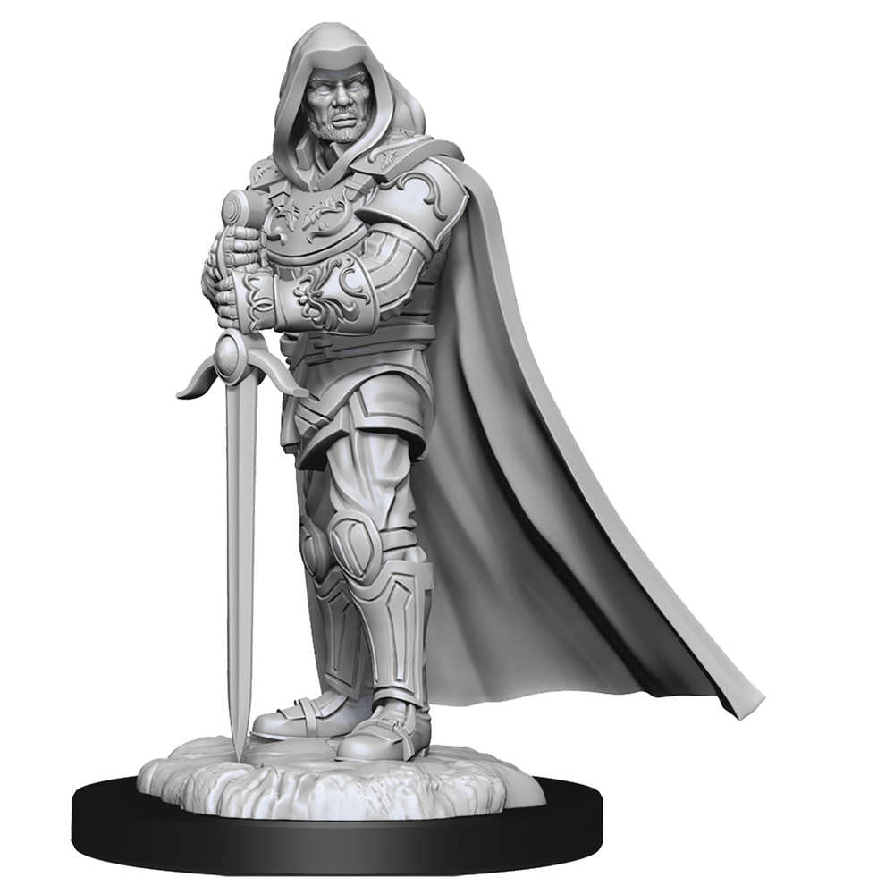 Dungeons & Dragons  Nolzars Marvelous Minis Human Paladin Male 