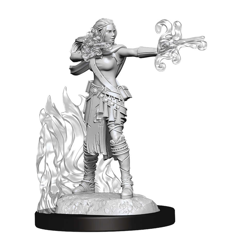 Dungeons & Dragons  Nolzars Minis Multiclass Warlock Sorcerer Female 
