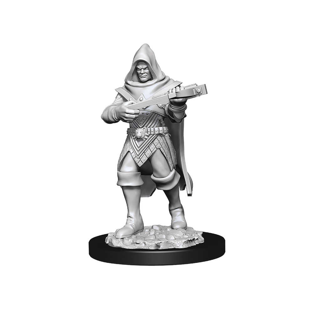 Pathfinder Deepcuts Mini Human Rogue Male 