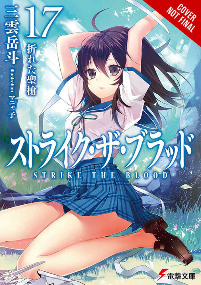 Strike The Blood Light Novel Softcover Volume 17