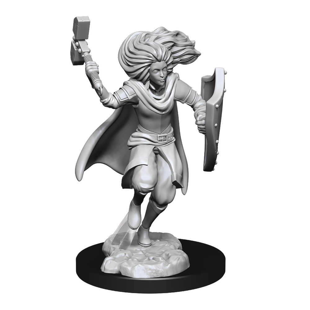 Dungeons & Dragons  Nolzurs Marvelous Minis Changeling Cleric 