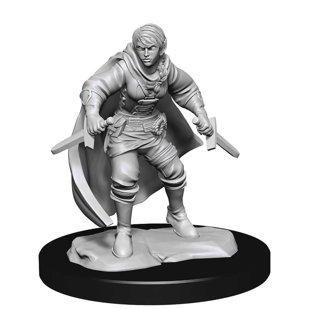Dungeons & Dragons  Nolzurs Marvelous Minis Half Elf Rogue Female 