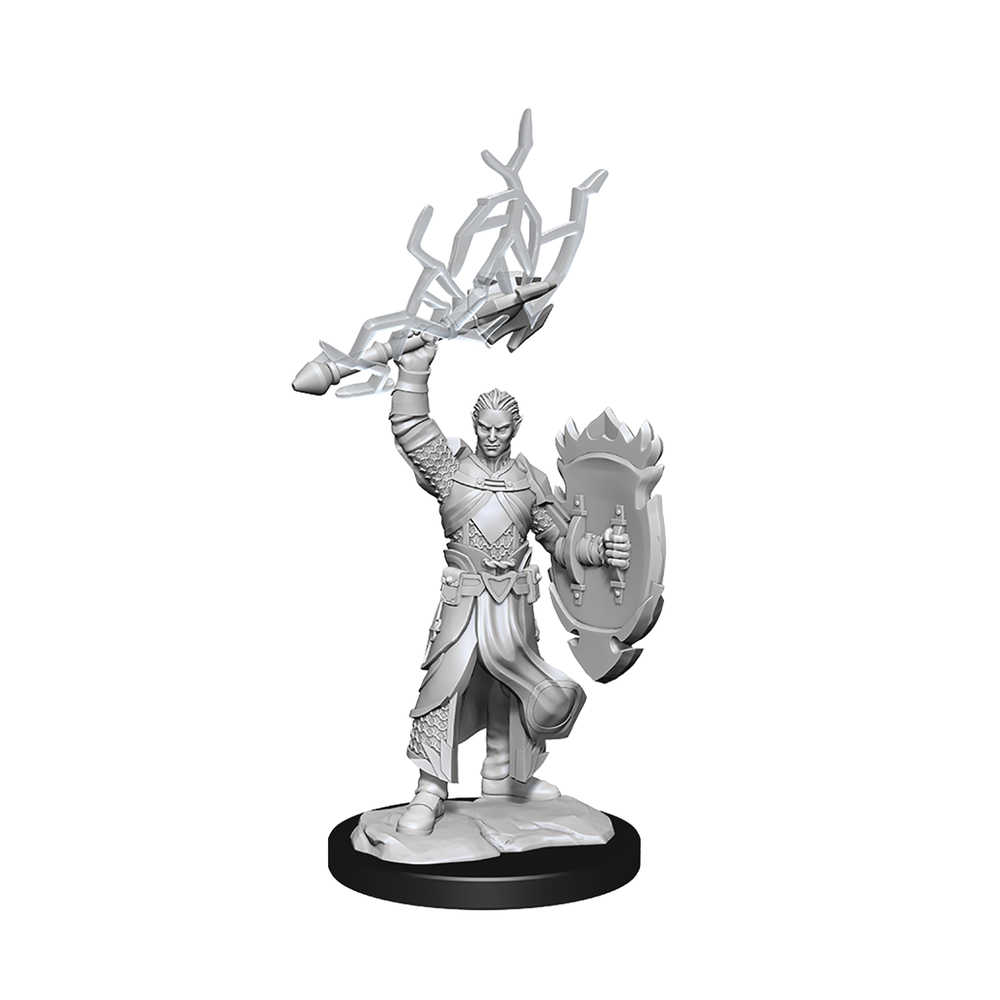 Dungeons & Dragons  Nolzurs Marvelous Minis Half Elf Paladin Male 
