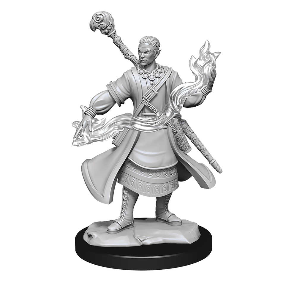 Dungeons & Dragons  Nolzurs Marvelous Minis Half Elf Wizard Male 