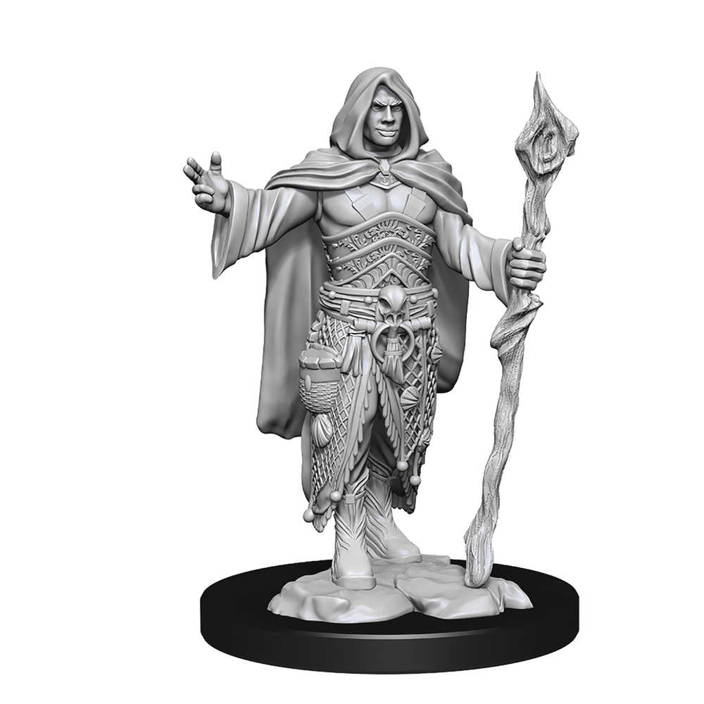 Dungeons & Dragons  Nolzurs Marvelous Minis Human Druid Male 