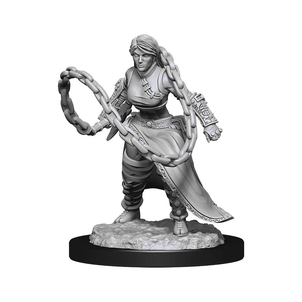 Dungeons & Dragons  Nolzurs Marvelous Minis Human Monk Female 