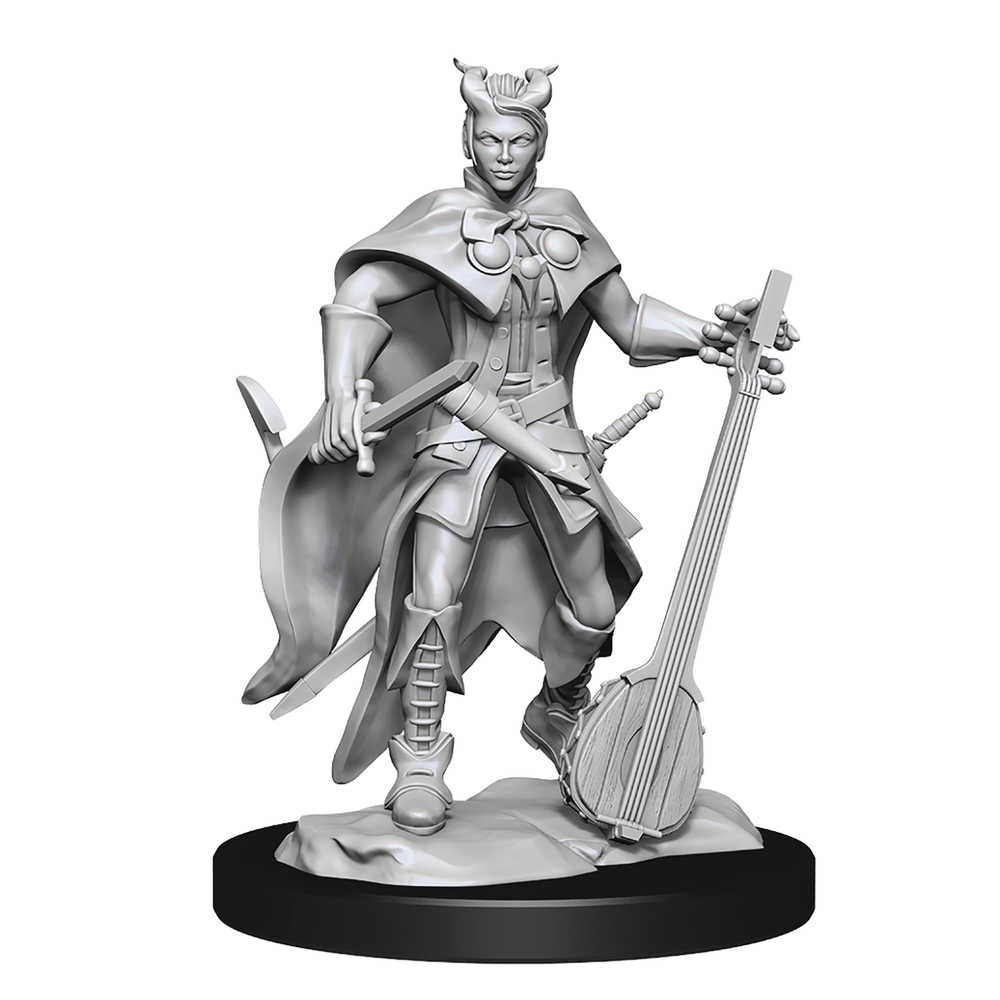 Dungeons & Dragons  Nolzurs Marvelous Minis Tiefling Bard Female 