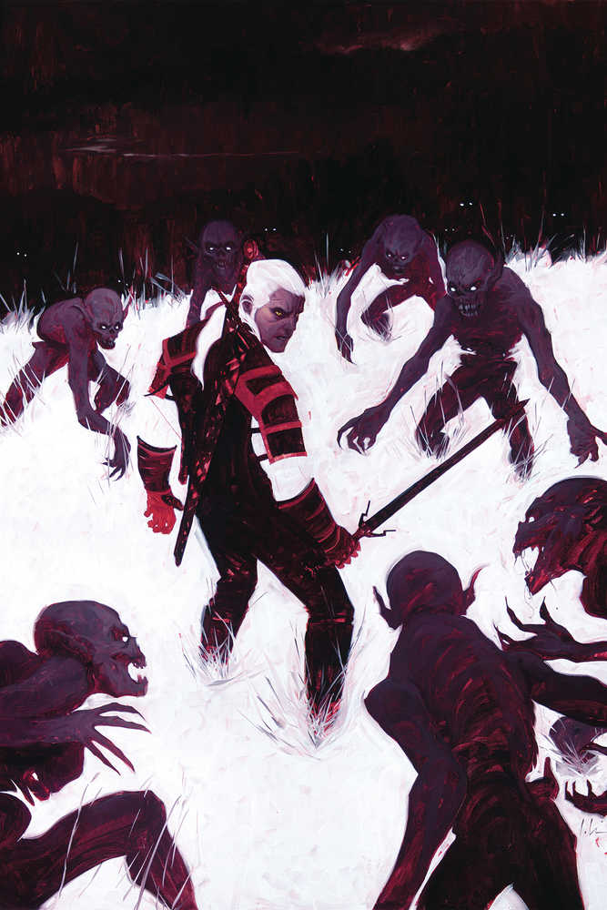 Witcher Fading Memories #1 (Of 4) Cover B