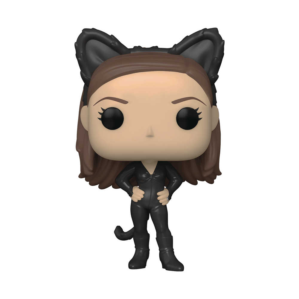 Pop TV Friends Monica As Catwoman Vinyl Figure 