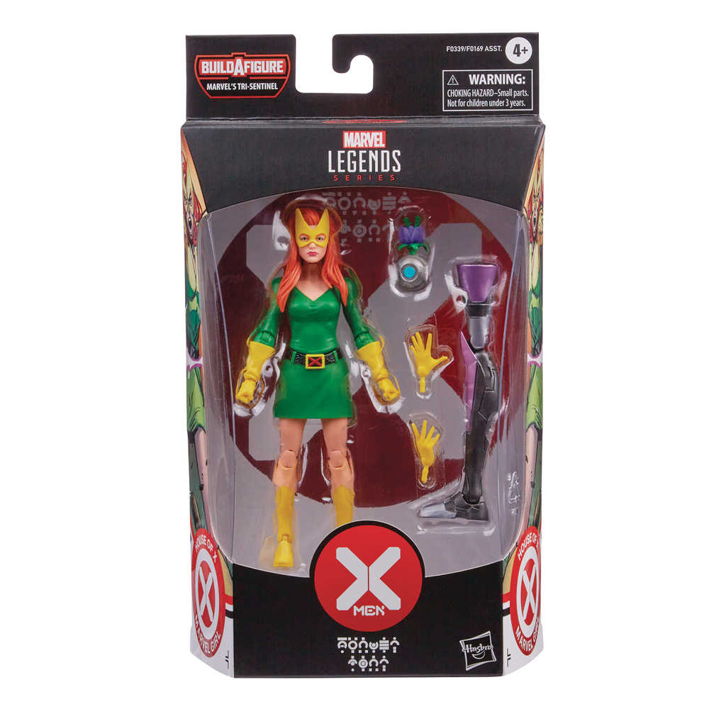 X-Men Legends 6 In Marvel Girl Action Figure Case  
